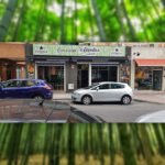 Bamboo Green