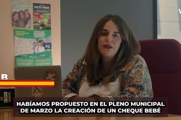 El Gobierno municipal de Fuenlabrada, liderado por el PSOE, ha votado en contra de dos propuestas presentadas por VOX para abordar la brecha maternal y el acoso escolar en el municipio, generando controversia y críticas por parte de los proponentes.