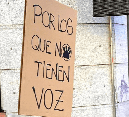 Verdes EQUO Fuenlabrada critica la defensa de la tauromaquia y la postura incoherente del PSOE en el pleno municipal