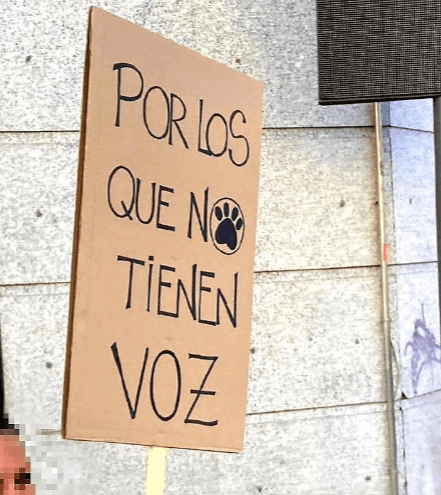 Verdes EQUO Fuenlabrada critica la defensa de la tauromaquia y la postura incoherente del PSOE en el pleno municipal