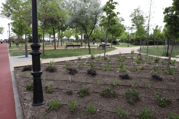 El Ayuntamiento de Fuenlabrada ha mejorado las zonas verdes del barrio El Arroyo y el parque Lineal, con una inversión de más de un millón de euros para renovar y actualizar estos espacios.