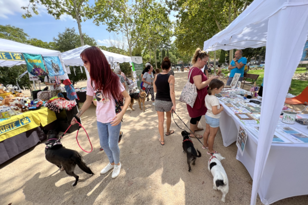 Carpa informativa sobre adopción de mascotas en Fuenlabrada El 14 de diciembre, el Centro de Protección Animal de Fuenlabrada instalará una carpa informativa en el Centro Tomás y Valiente para promover la adopción responsable de mascotas y el cuidado adecuado de los animales. La jornada será de 10 a 14 horas y ofrecerá asesoramiento sobre adopciones y tenencia responsable.