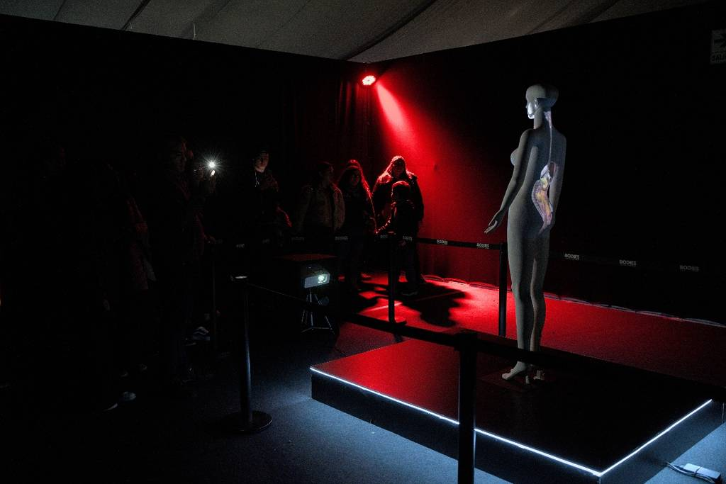 Descubre "Bodies", la impresionante exposición de cuerpos reales preservados mediante plastinación, ideal para explorar de manera educativa y visual la anatomía humana.