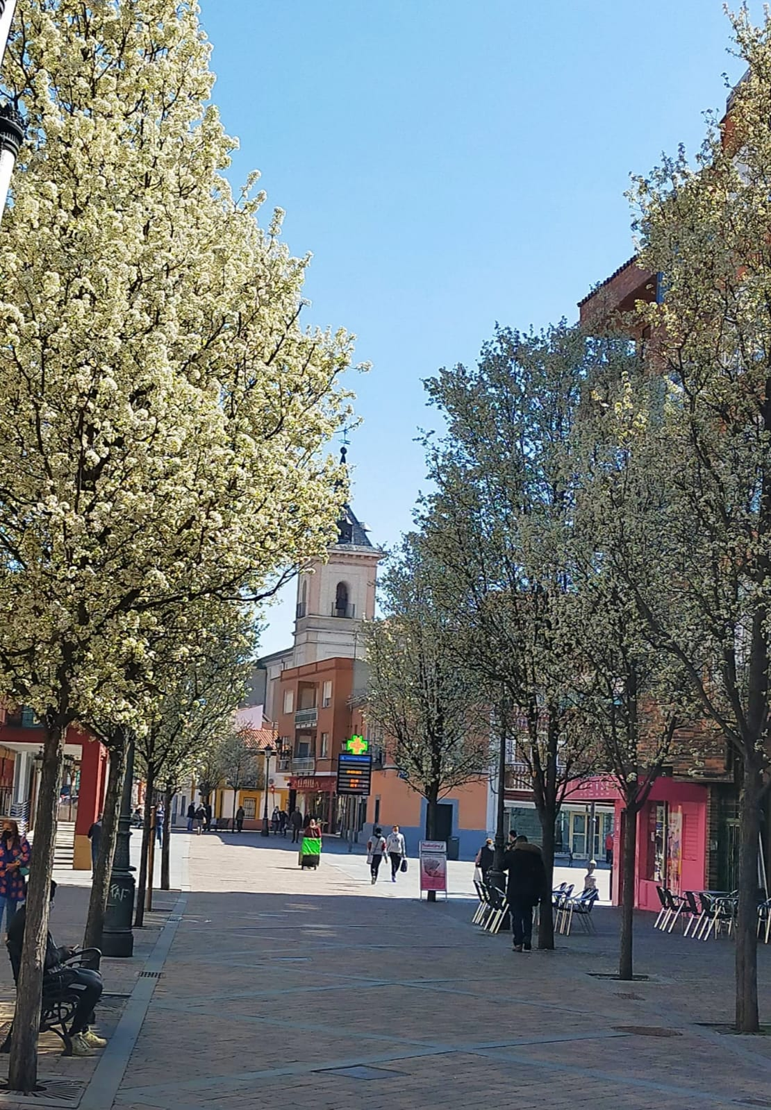 Los presupuestos de Fuenlabrada para 2025 ascienden a 220 millones de euros, consolidando el crecimiento y la inversión en bienestar social y modernización urbana.