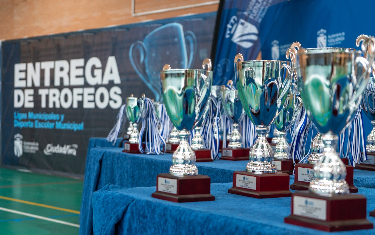 Más de 3.500 deportistas reciben sus trofeos en la fiesta del deporte escolar y municipal de Fuenlabrada Más de 3.500 deportistas reciben sus trofeos en la fiesta del deporte escolar y municipal de Fuenlabrada