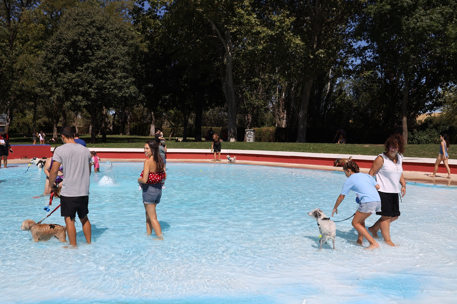 El FuenlaDog Fest vuelve a la piscina municipal el 7 de septiembre con entrada solidaria El FuenlaDog Fest vuelve a la piscina municipal el 7 de septiembre con entrada solidaria