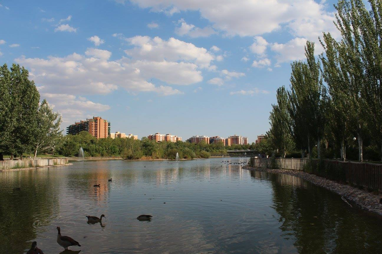 El Parque del Lago de Loranca cerrará por obras de mejora a partir del 8 de septiembre El Parque del Lago de Loranca cerrará por obras de mejora a partir del 8 de septiembre