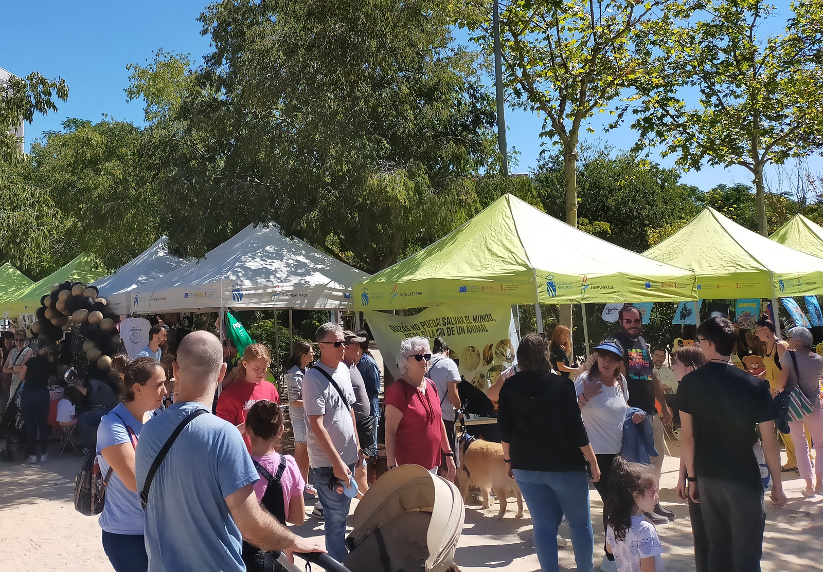 Fuenlabrada celebra la XIII edición de ‘Fuenladopta’ con actividades para toda la familia este fin de semana Fuenlabrada celebra la XIII edición de ‘Fuenladopta’ con actividades para toda la familia este fin de semana