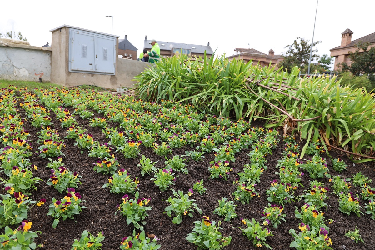 Fuenlabrada renueva sus zonas verdes con la plantación de más de 15.000 flores de otoño