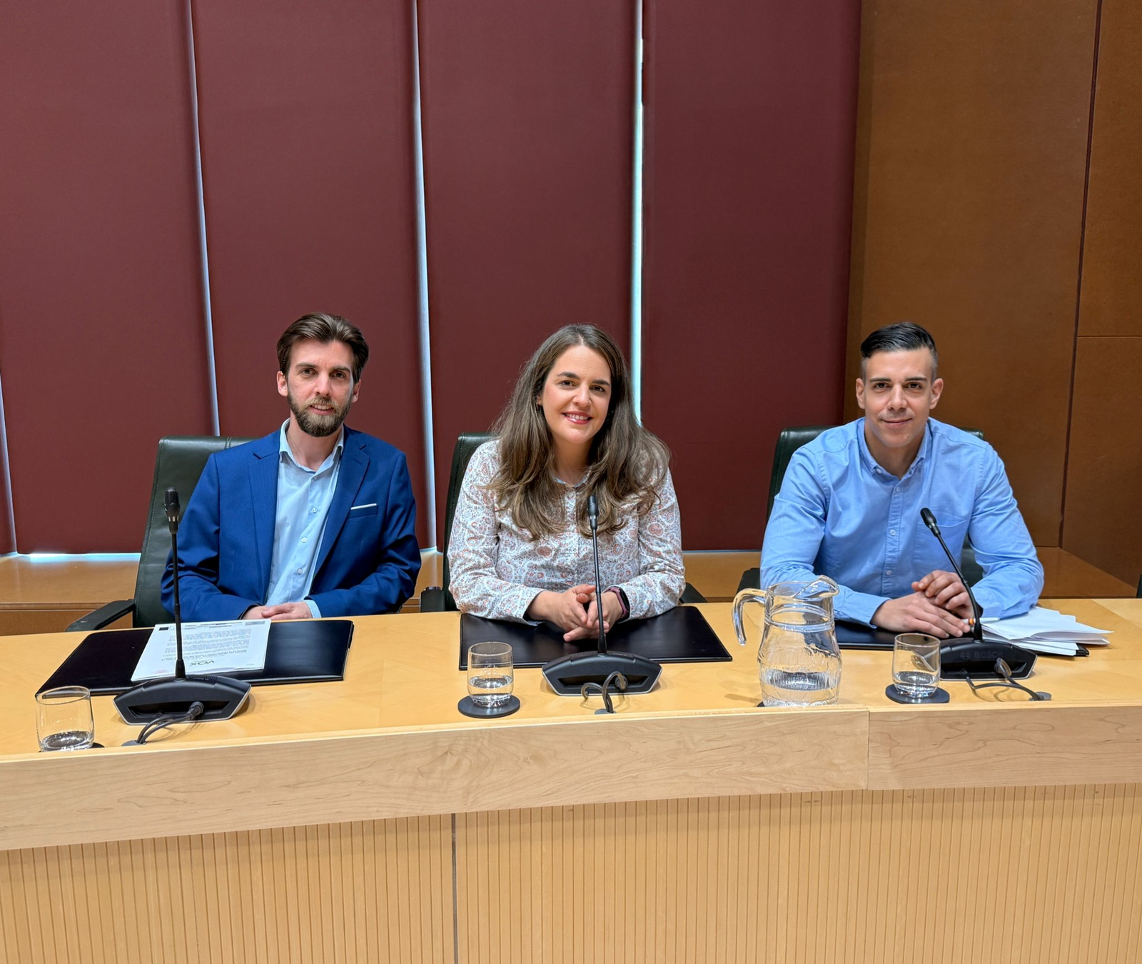 VOX pide un plan para soterrar el cableado aéreo en la ciudad