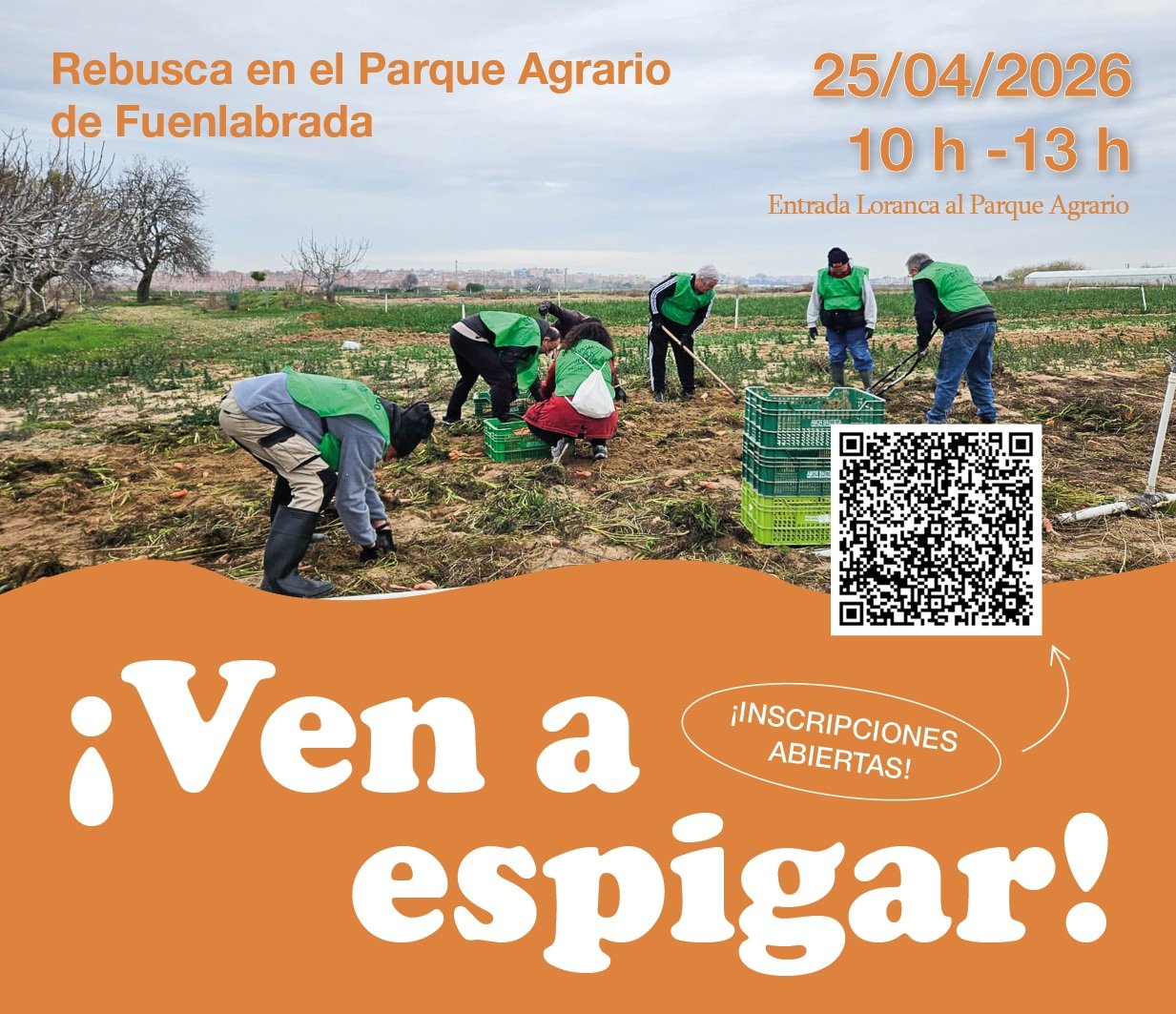 Jornada de Espigueo en Fuenlabrada: recupera verduras de la huerta