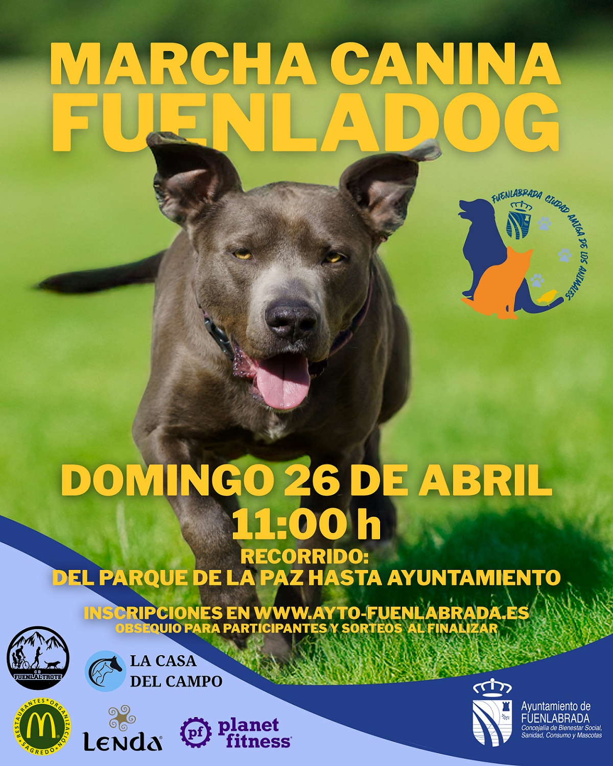 Fuenladog en Marcha: I Marcha Canina por la adopción animal